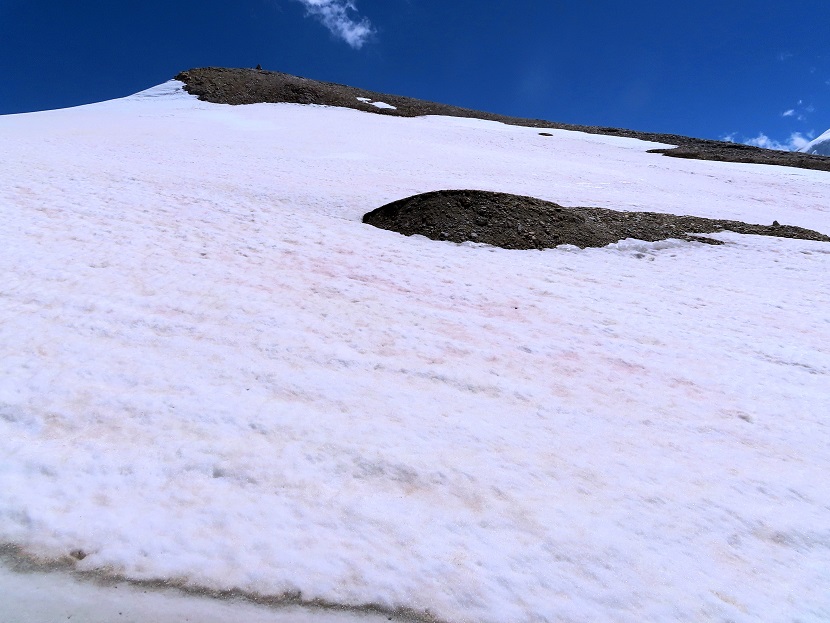 Foto: Andreas Koller / Wandertour / Schöllihorn (3500m) / 06.09.2024 00:26:21