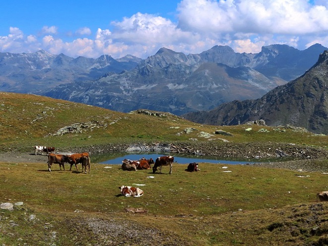 Foto: Andreas Koller / Wandertour / Becs de Bosson vom Lac de Moiry (3149m) / 27.09.2024 02:00:58