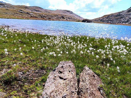 Foto: Andreas Koller / Wandertour / Becs de Bosson vom Lac de Moiry (3149m) / 27.09.2024 01:51:28