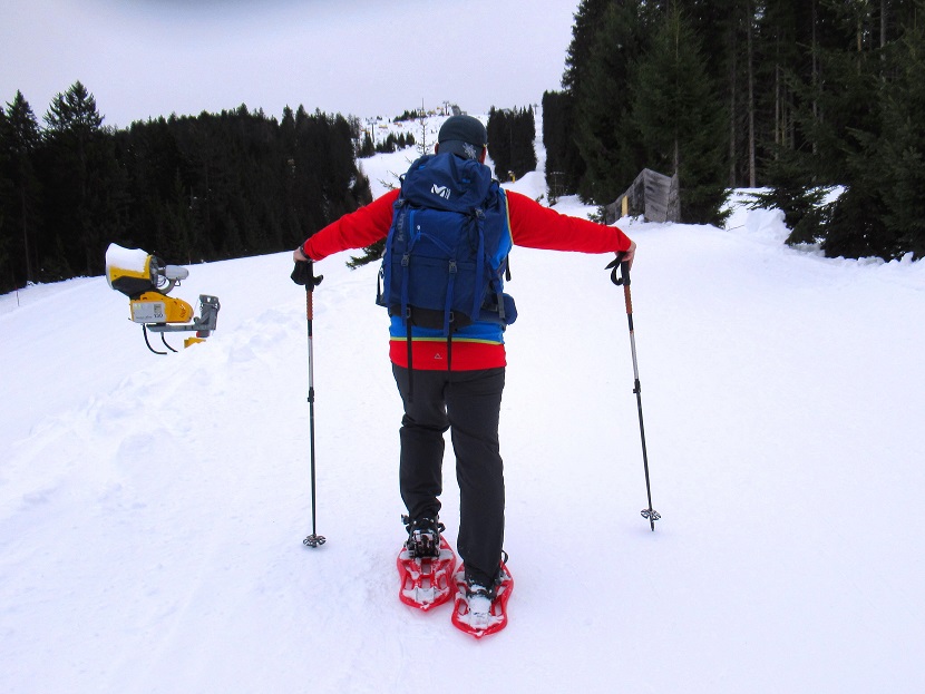 Foto: Andreas Koller / Schneeschuhtour / Gabühel Panoramarunde (1636m) / 12.01.2025 17:55:21
