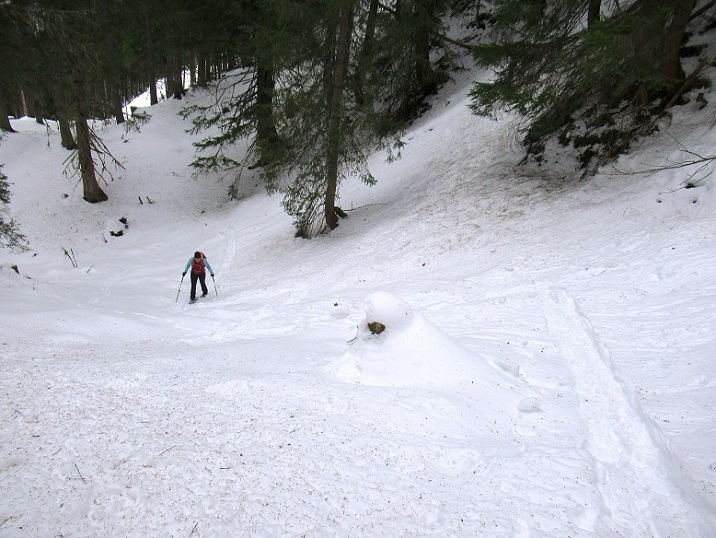 Foto: Andreas Koller / Schneeschuhtour / Gabühel Panoramarunde (1636m) / 12.01.2025 17:55:11