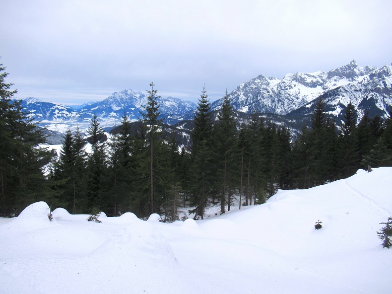 Foto: Andreas Koller / Schneeschuhtour / Gabühel Panoramarunde (1636m) / 12.01.2025 17:54:53