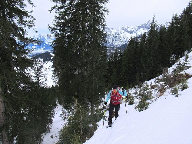 Foto: Andreas Koller / Schneeschuhtour / Gabühel Panoramarunde (1636m) / 12.01.2025 17:54:47