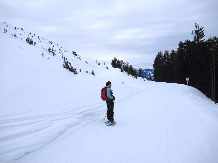 Foto: Andreas Koller / Schneeschuhtour / Gabühel Panoramarunde (1636m) / Abstieg von der Gabühelhütte / 12.01.2025 17:53:19