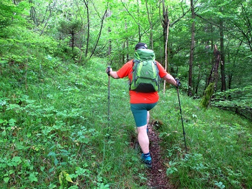 Foto: Andreas Koller / Klettersteigtour / Klettersteig Reibwand zum Paul-Gruber-Haus (950m) / 23.01.2025 23:56:28
