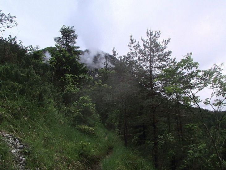 Foto: Andreas Koller / Klettersteigtour / Klettersteig Reibwand zum Paul-Gruber-Haus (950m) / 23.01.2025 23:56:23
