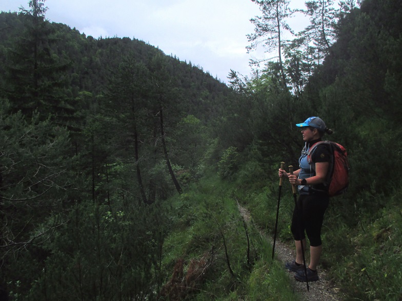 Foto: Andreas Koller / Klettersteigtour / Klettersteig Reibwand zum Paul-Gruber-Haus (950m) / 23.01.2025 23:56:18
