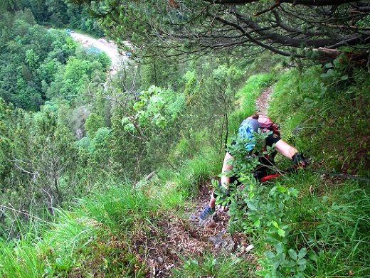 Foto: Andreas Koller / Klettersteigtour / Klettersteig Reibwand zum Paul-Gruber-Haus (950m) / 23.01.2025 23:55:05