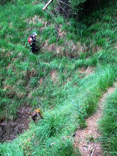 Foto: Andreas Koller / Klettersteigtour / Klettersteig Reibwand zum Paul-Gruber-Haus (950m) / 23.01.2025 23:54:43