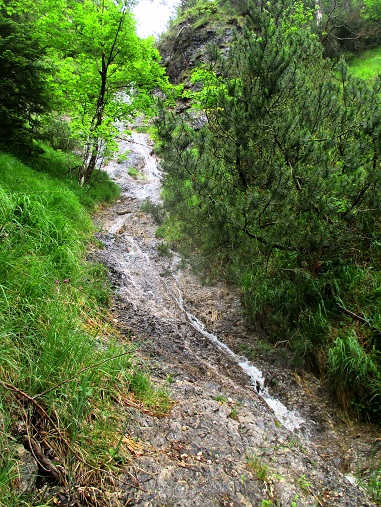 Foto: Andreas Koller / Klettersteigtour / Klettersteig Reibwand zum Paul-Gruber-Haus (950m) / 23.01.2025 23:54:28