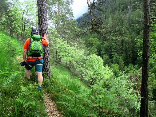 Foto: Andreas Koller / Klettersteigtour / Klettersteig Reibwand zum Paul-Gruber-Haus (950m) / 23.01.2025 23:53:27