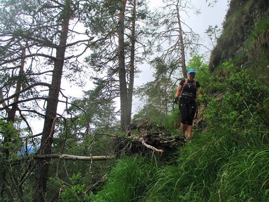 Foto: Andreas Koller / Klettersteigtour / Klettersteig Reibwand zum Paul-Gruber-Haus (950m) / 23.01.2025 23:53:21