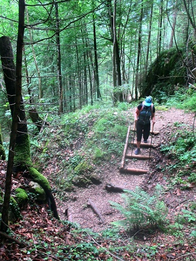 Foto: Andreas Koller / Klettersteigtour / Klettersteig Reibwand zum Paul-Gruber-Haus (950m) / 23.01.2025 23:50:02