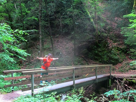 Foto: Andreas Koller / Klettersteigtour / Klettersteig Reibwand zum Paul-Gruber-Haus (950m) / 23.01.2025 23:49:49