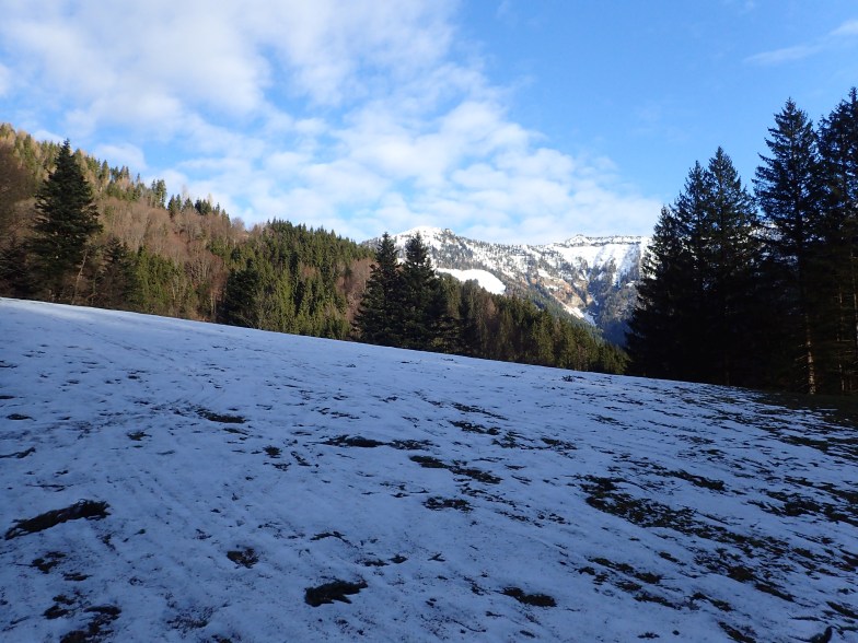 Foto: Manfred Karl / Schneeschuhtour / Aus der Taugl auf den Schlenkstein (1603 m) / 23.05.2025 15:50:52