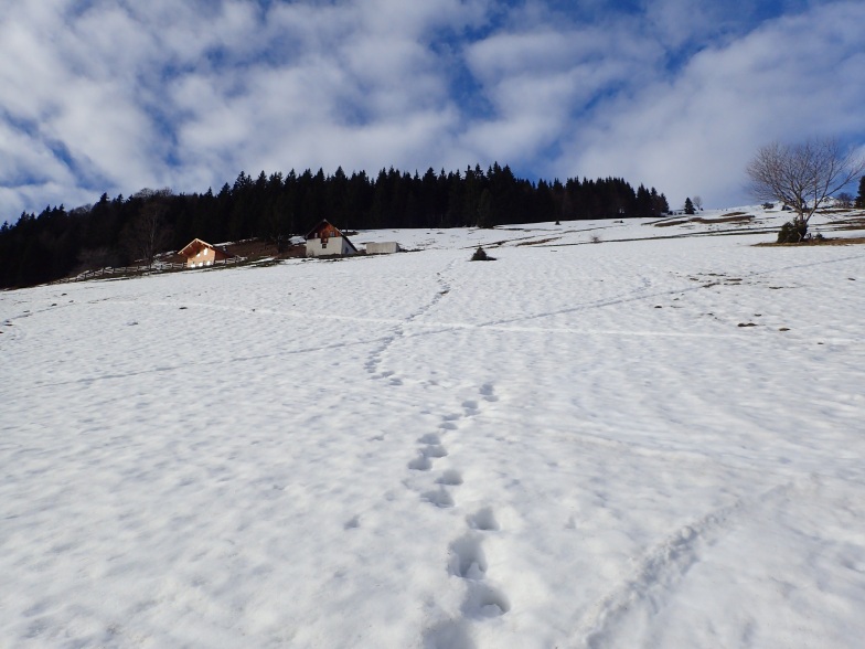 Foto: Manfred Karl / Schneeschuhtour / Aus der Taugl auf den Schlenkstein (1603 m) / Unterhellwengalm / 23.05.2025 15:50:11