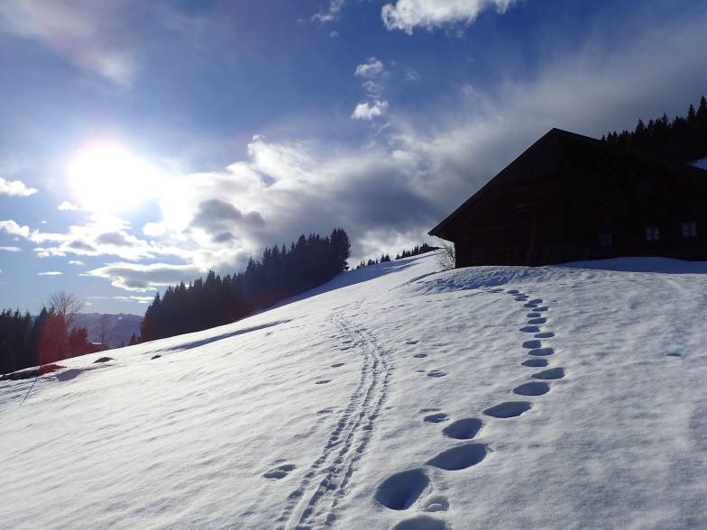 Foto: Manfred Karl / Schneeschuhtour / Aus der Taugl auf den Schlenkstein (1603 m) / Ebenwaldalm (Urbanalm) / 23.05.2025 15:49:37