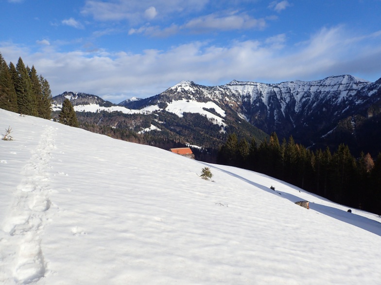 Foto: Manfred Karl / Schneeschuhtour / Aus der Taugl auf den Schlenkstein (1603 m) / 23.05.2025 15:46:28