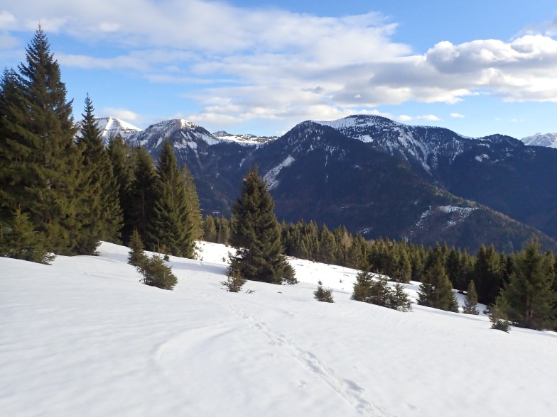 Foto: Manfred Karl / Schneeschuhtour / Aus der Taugl auf den Schlenkstein (1603 m) / 23.05.2025 15:46:19