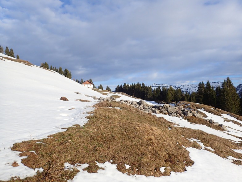 Foto: Manfred Karl / Schneeschuhtour / Aus der Taugl auf den Schlenkstein (1603 m) / Schlenksteinalm / 23.05.2025 15:46:07