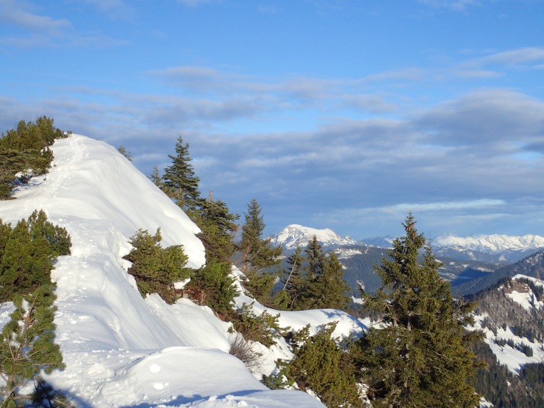 Foto: Manfred Karl / Schneeschuhtour / Aus der Taugl auf den Schlenkstein (1603 m) / 23.05.2025 15:41:58