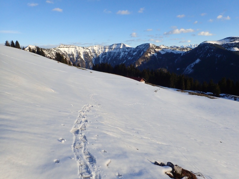 Foto: Manfred Karl / Schneeschuhtour / Aus der Taugl auf den Schlenkstein (1603 m) / 23.05.2025 15:40:23