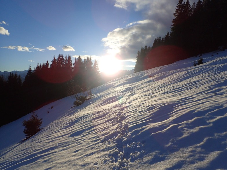 Foto: Manfred Karl / Schneeschuhtour / Aus der Taugl auf den Schlenkstein (1603 m) / 23.05.2025 15:39:11