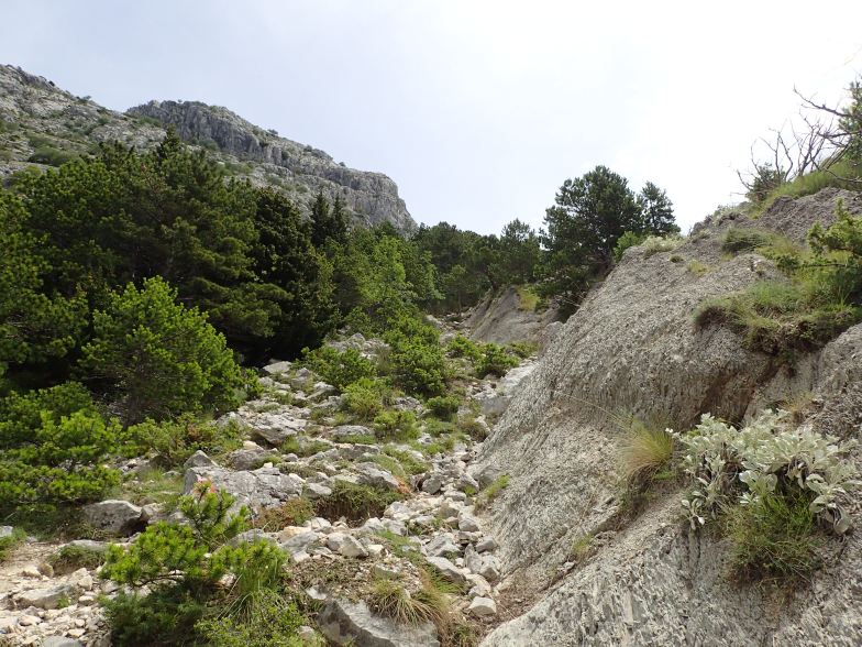 Foto: Manfred Karl / Wandertour / Vrh Kula (863 m) – Panoramaberg über Omis / 24.05.2025 16:44:17