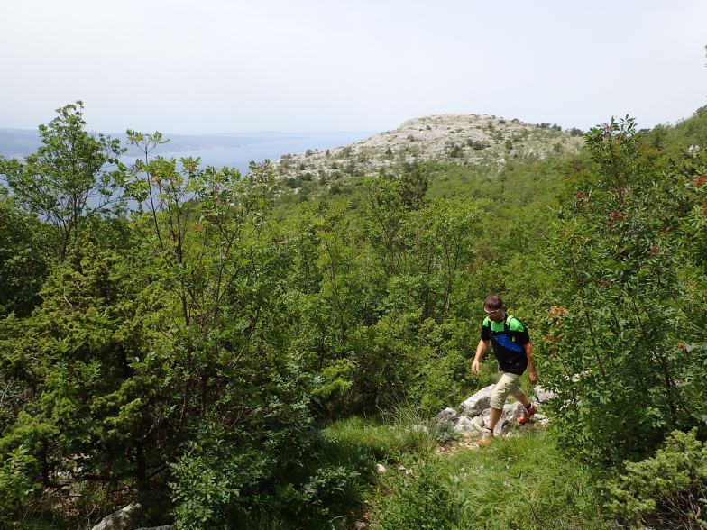 Foto: Manfred Karl / Wandertour / Vrh Kula (863 m) – Panoramaberg über Omis / 24.05.2025 16:42:04