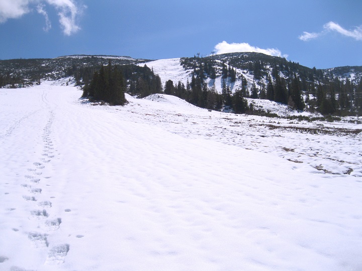 Foto: Andreas Koller / Skitour / Planneralm und Kleiner Rotbühel (1913m) / 10.05.2025 22:56:05