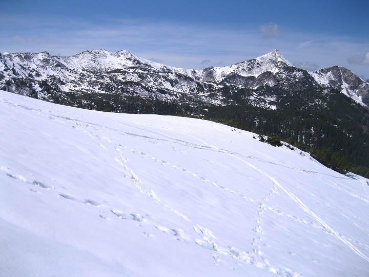 Foto: Andreas Koller / Skitour / Planneralm und Kleiner Rotbühel (1913m) / 10.05.2025 22:55:12