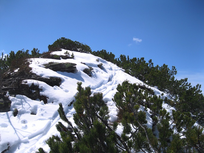 Foto: Andreas Koller / Skitour / Planneralm und Kleiner Rotbühel (1913m) / Der Grat zum Gipfel / 10.05.2025 22:54:38