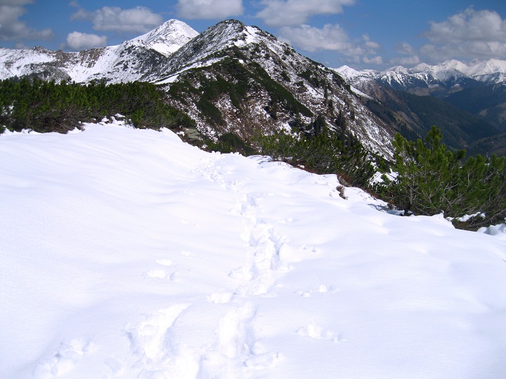 Foto: Andreas Koller / Skitour / Planneralm und Kleiner Rotbühel (1913m) / 10.05.2025 22:54:15