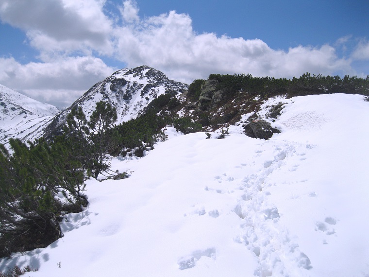 Foto: Andreas Koller / Skitour / Planneralm und Kleiner Rotbühel (1913m) / 10.05.2025 22:52:03