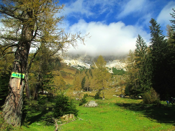 Foto: Andreas Koller / Klettertour / Predigtstuhlsteig auf die Veitsch (1788m) / 15.05.2025 00:51:28