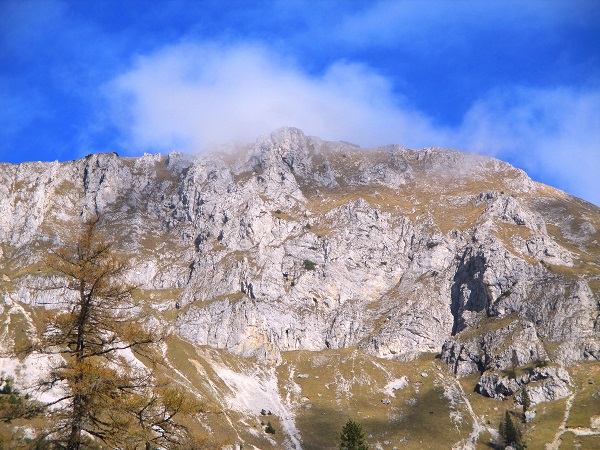 Foto: Andreas Koller / Klettertour / Predigtstuhlsteig auf die Veitsch (1788m) / Veitschalpe Südabbrüche von der Brunnalm / 15.05.2025 00:52:44