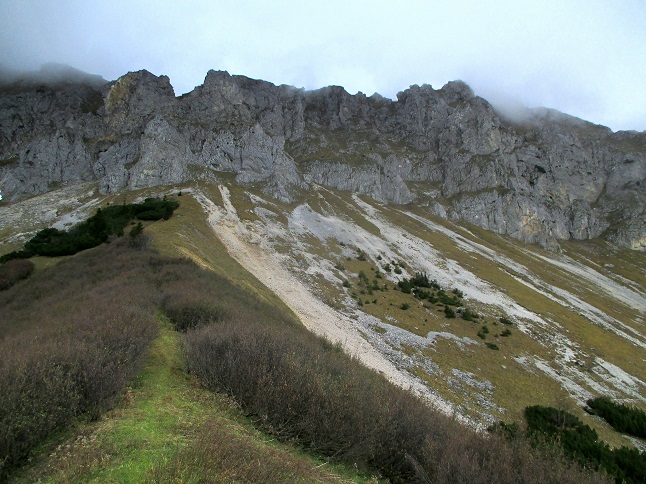 Foto: Andreas Koller / Klettertour / Predigtstuhlsteig auf die Veitsch (1788m) / Grasrippe zum Einstieg / 15.05.2025 00:50:24