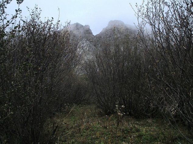 Foto: Andreas Koller / Klettertour / Predigtstuhlsteig auf die Veitsch (1788m) / 15.05.2025 00:49:18