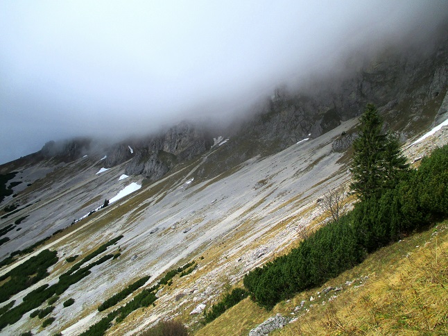 Foto: Andreas Koller / Klettertour / Predigtstuhlsteig auf die Veitsch (1788m) / 15.05.2025 00:49:02