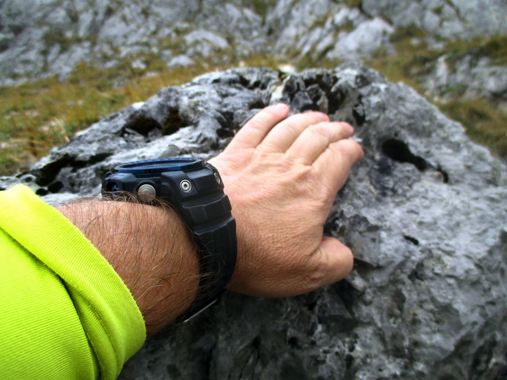 Foto: Andreas Koller / Klettertour / Predigtstuhlsteig auf die Veitsch (1788m) / 15.05.2025 00:47:35