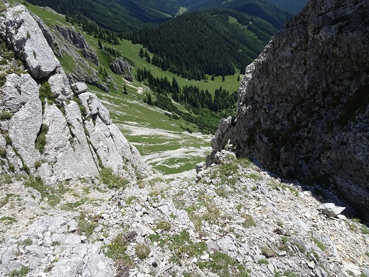 Foto: Andreas Koller / Klettertour / Predigtstuhlsteig auf die Veitsch (1788m) / Rückblick / 15.05.2025 00:47:27