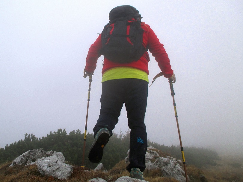 Foto: Andreas Koller / Klettertour / Predigtstuhlsteig auf die Veitsch (1788m) / Kurzer Anstieg zum Predigtstuhl / 15.05.2025 00:46:52