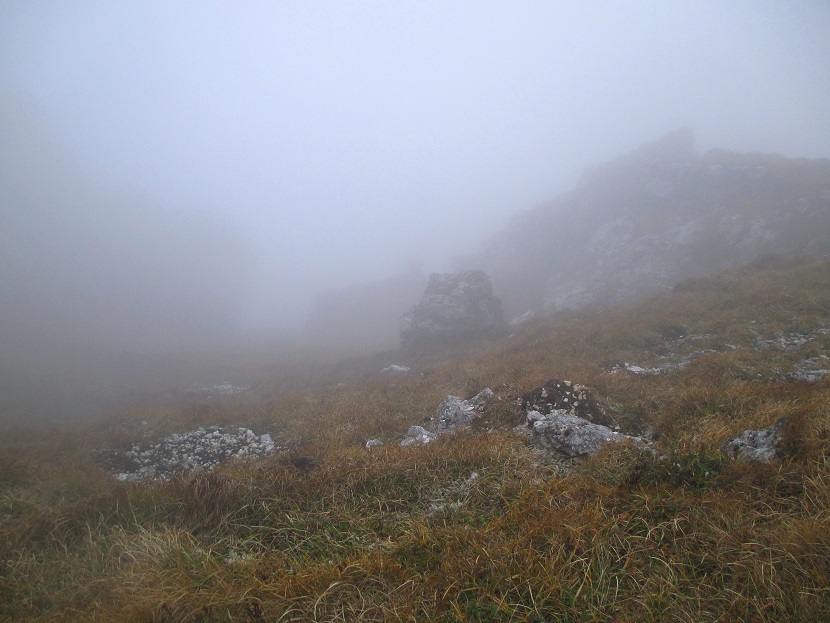 Foto: Andreas Koller / Klettertour / Predigtstuhlsteig auf die Veitsch (1788m) / 15.05.2025 00:46:25
