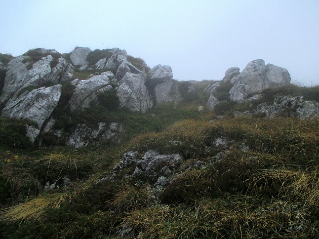 Foto: Andreas Koller / Klettertour / Predigtstuhlsteig auf die Veitsch (1788m) / Abstieg vom Predigtstuhl / 15.05.2025 00:45:18