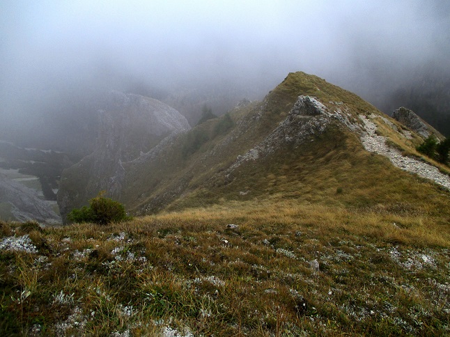 Foto: Andreas Koller / Klettertour / Predigtstuhlsteig auf die Veitsch (1788m) / 15.05.2025 00:44:44