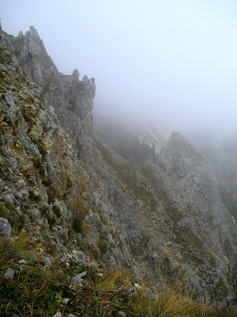 Foto: Andreas Koller / Klettertour / Predigtstuhlsteig auf die Veitsch (1788m) / 15.05.2025 00:44:31