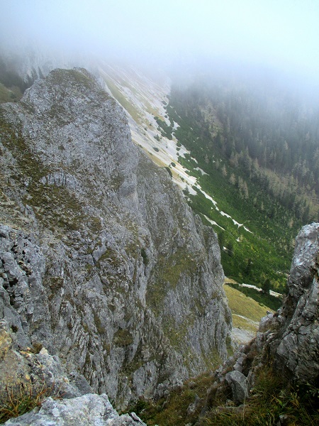 Foto: Andreas Koller / Klettertour / Predigtstuhlsteig auf die Veitsch (1788m) / 15.05.2025 00:44:16