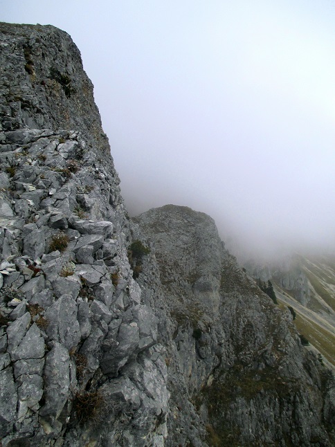 Foto: Andreas Koller / Klettertour / Predigtstuhlsteig auf die Veitsch (1788m) / 15.05.2025 00:44:08