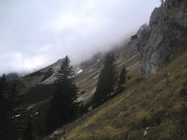 Foto: Andreas Koller / Klettertour / Predigtstuhlsteig auf die Veitsch (1788m) / 15.05.2025 00:43:17