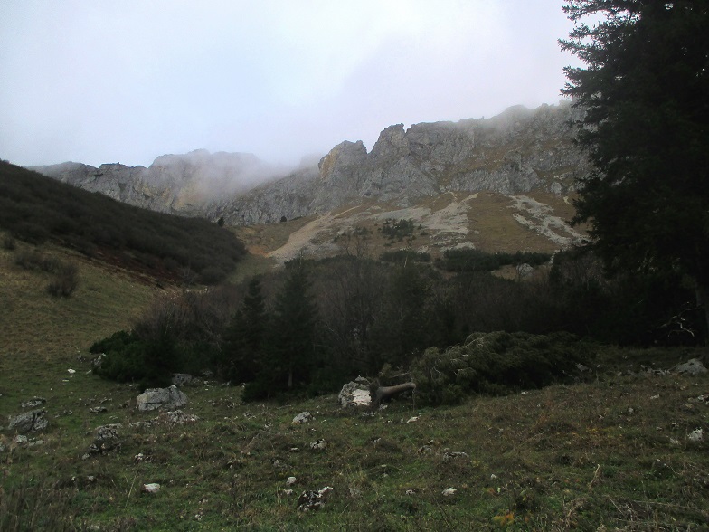 Foto: Andreas Koller / Klettertour / Predigtstuhlsteig auf die Veitsch (1788m) / 15.05.2025 00:43:03
